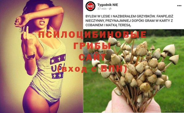 гашик Красноперекопск