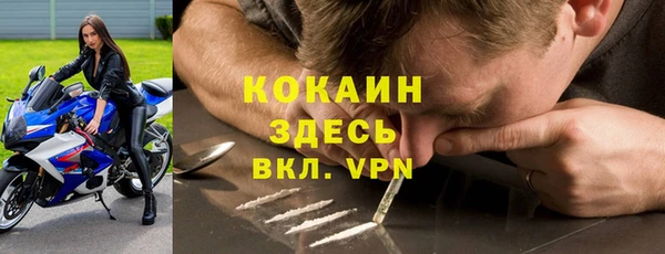 мяу мяу мука Краснотурьинск
