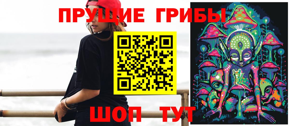 Псилоцибиновые грибы Cubensis  где купить   Ноябрьск  Галлюциногенные грибы Psilocybe  Вход с VPN 